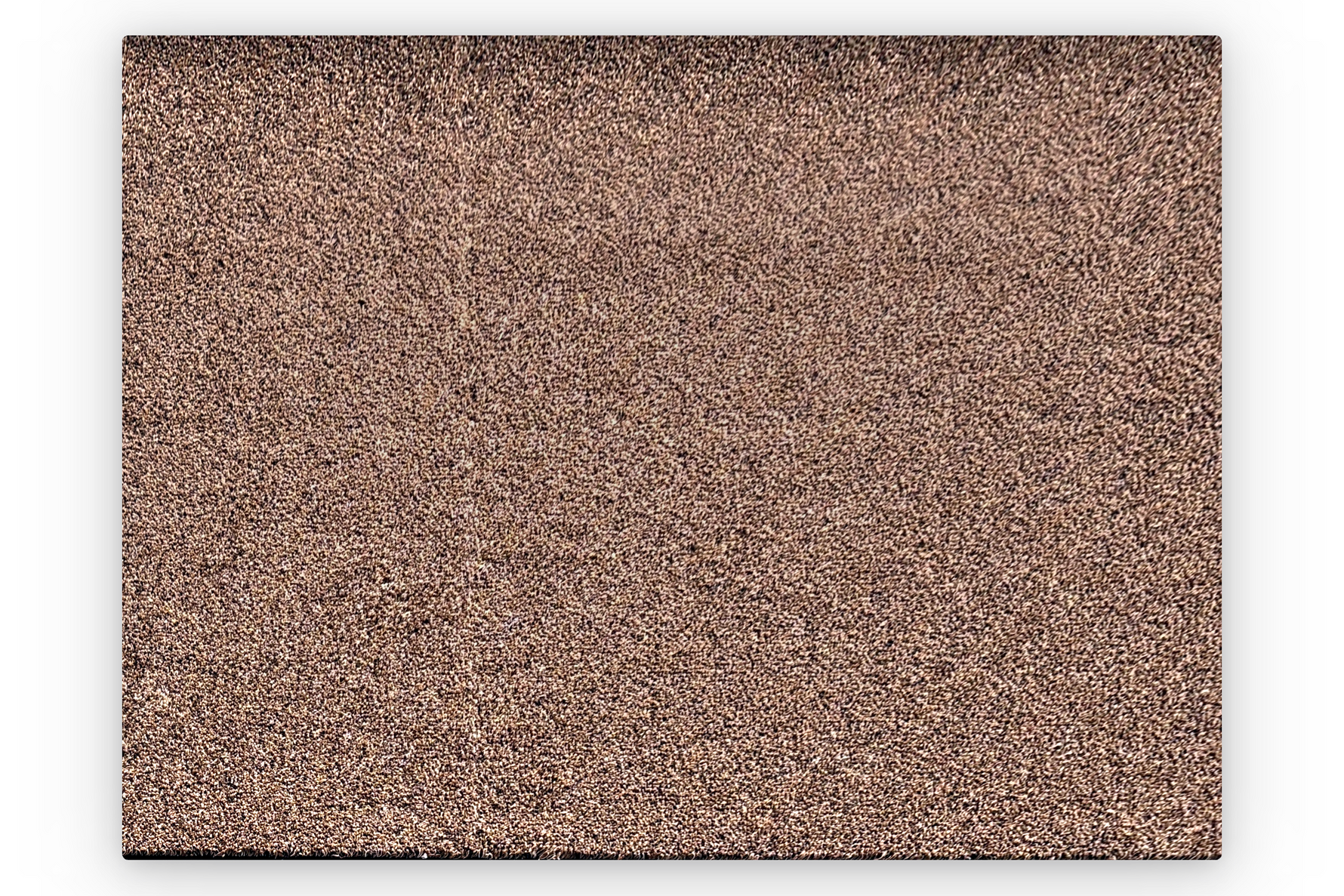 Droogloopmat Premium beige bovenaanzicht