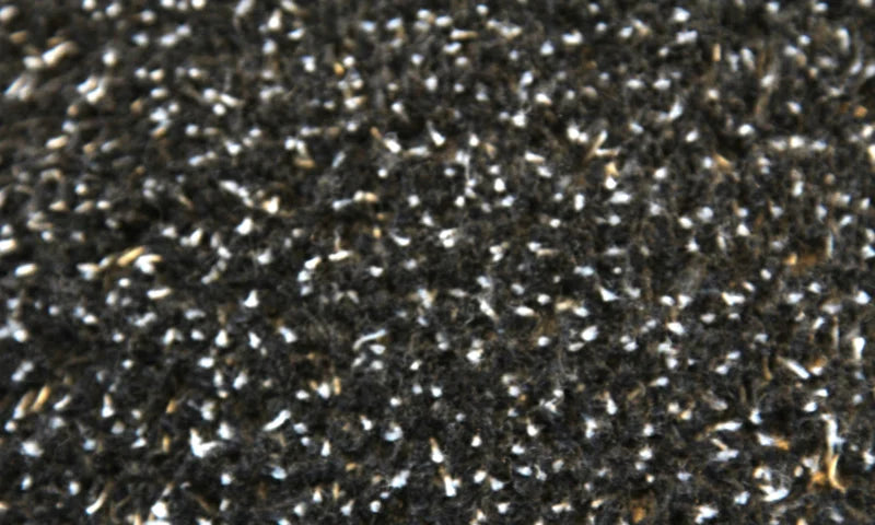 Profit droogloopmat zwart, detail 2